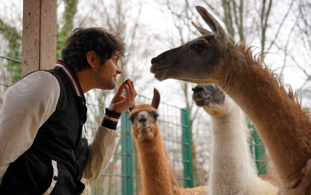 Schlechte Helden Lama und Finna