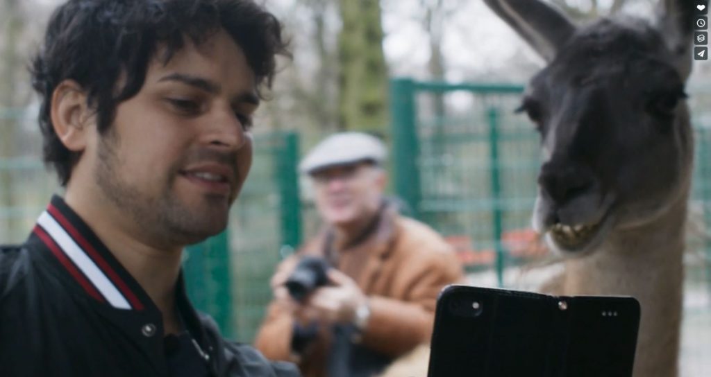 Ein süßen Lama will ein Selfie mit unserem Hauptdarsteller David machen